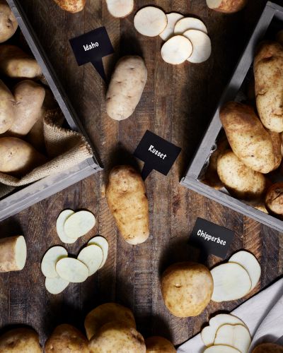 idaho-vs-russet-vs-chipperbec-potato-comparison