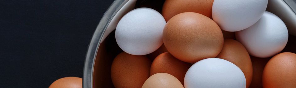 What’s Up With the Egg Market?