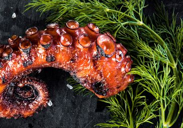Grilled Gullo Octopus Legs