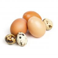 Eggs