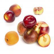 Stone Fruit