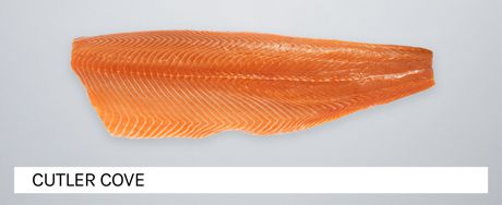 The banner of the Seafood category