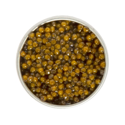 Caviar