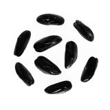 Farmed Pei Mussels
