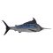 Swordfish