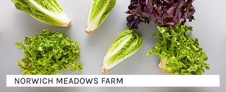 The banner of the organics category