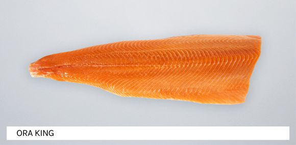 The banner of the seafood category
