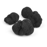 Black Winter Perigord Truffles