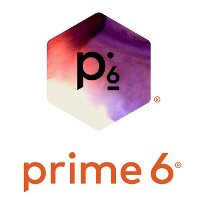 Prime 6 logo