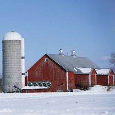 Cabot Creamery