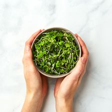 AeroFarms
