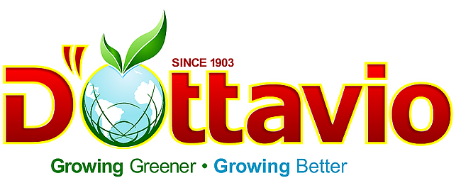 D'Ottavio Farms logo