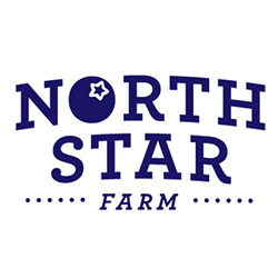 Northstar Blueberry Farm logo