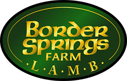 Border Springs logo