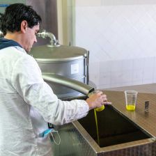 Olio Piro