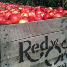 Red Jacket Orchards