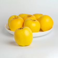 FirstFruits