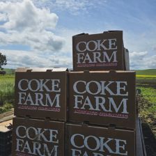 Coke Farm