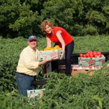 Lucky's Real Tomatoes