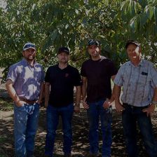 Sanguinetti Family Farms