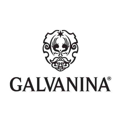 Galvanina logo