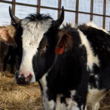 Hawthorne Valley Farm