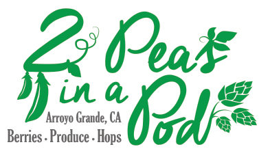 2 Peas in a Pod      logo