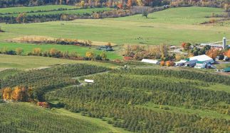 Champlain Orchards