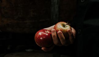 Virtue Cider