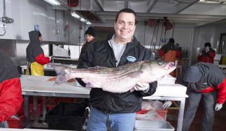 Pierless Fish