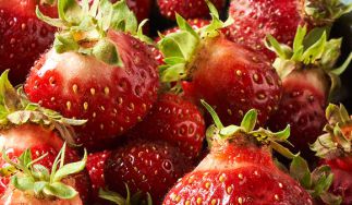 Mountain Sweet Berry Farm