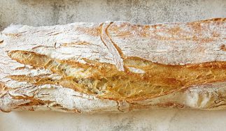 Bread Alone