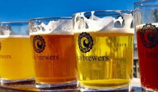 Cisco Brewers
