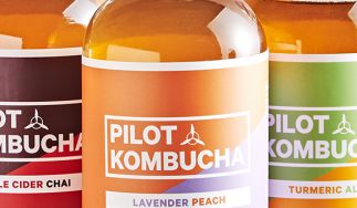 Pilot Kombucha