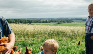 Handsome Brook Farms