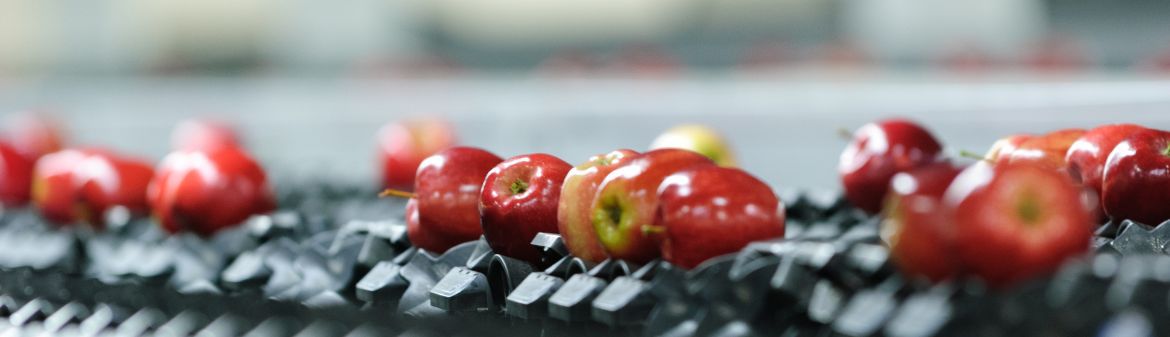 Stemilt Growers