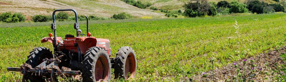 Tutti Frutti Farms