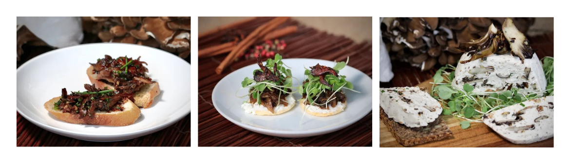 Shogun Maitake