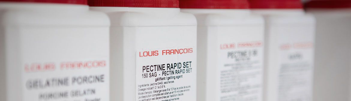 Louis Francois