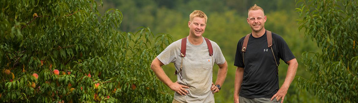 Scholl Orchards