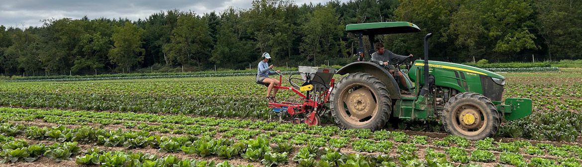 Campo Rosso Farm