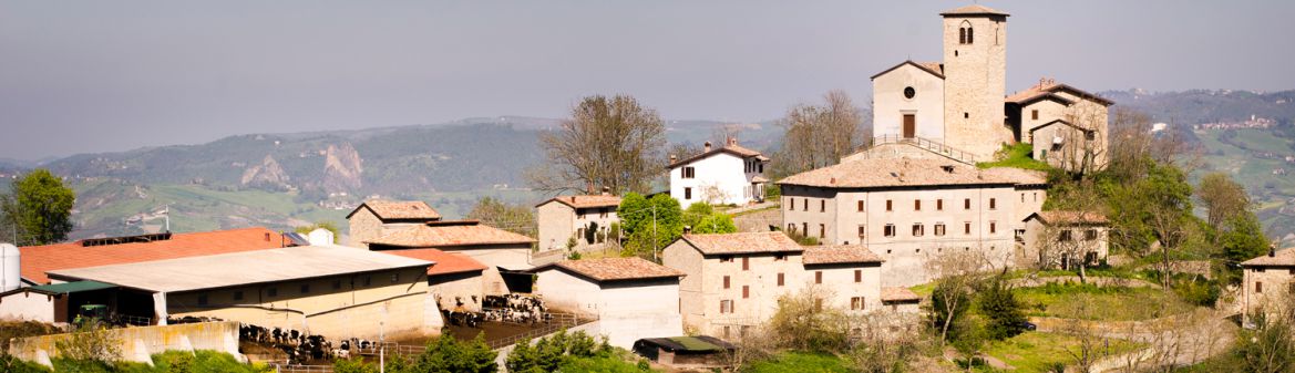 Ambrosi