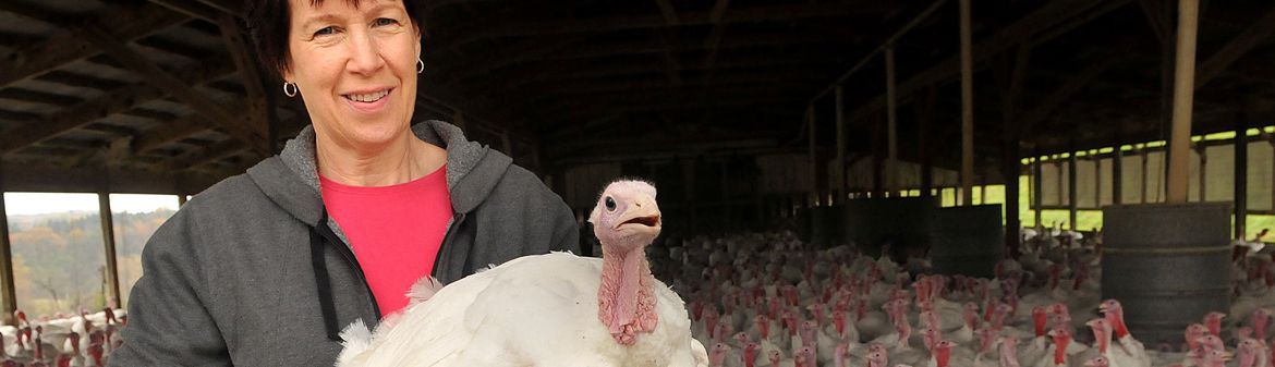 Koch's Turkey