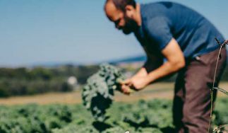 Lancaster Farm Fresh