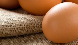 The Farmer's Hen
