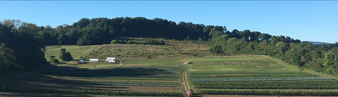 Taproot Farm