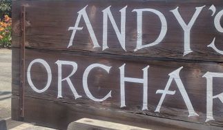 Andy's Orchard