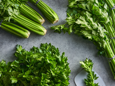 Organic Celery Sparse