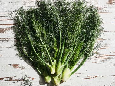 Fennel