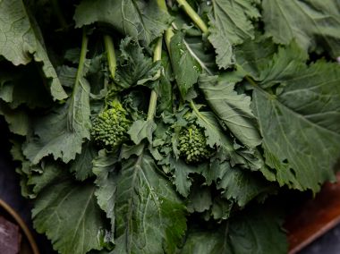 Organic Broccoli Rabe